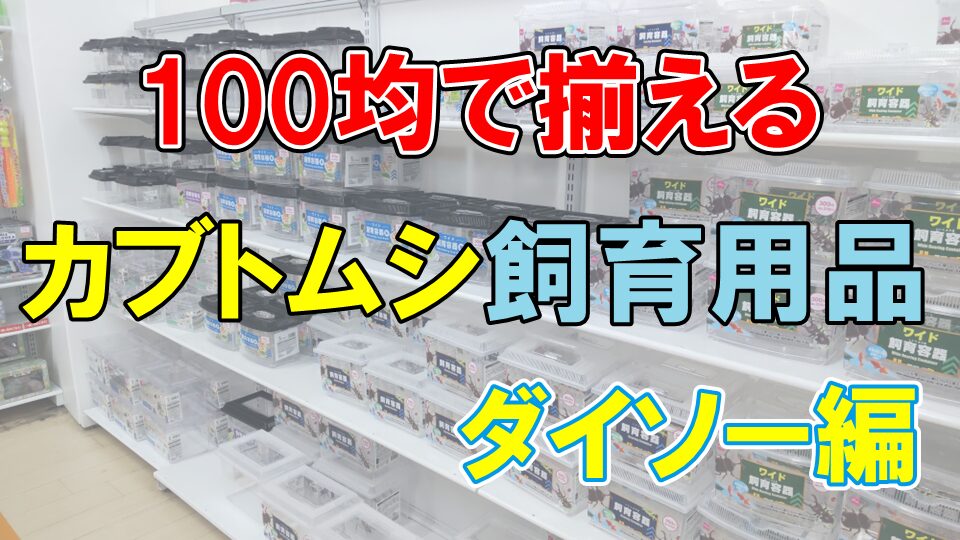 カブトムシ】100均で揃える飼育用品 ～DAISO（ダイソー）編～ - 東葛 子育て生活応援ブログ～松戸・柏・流山周辺エリア情報～